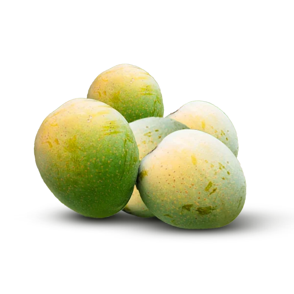 রাজশাহীর হিমসাগর আম – Naturally ripe Himsagar mango